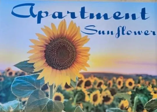 Holiday home Sunflower Apartment Palermo Italy